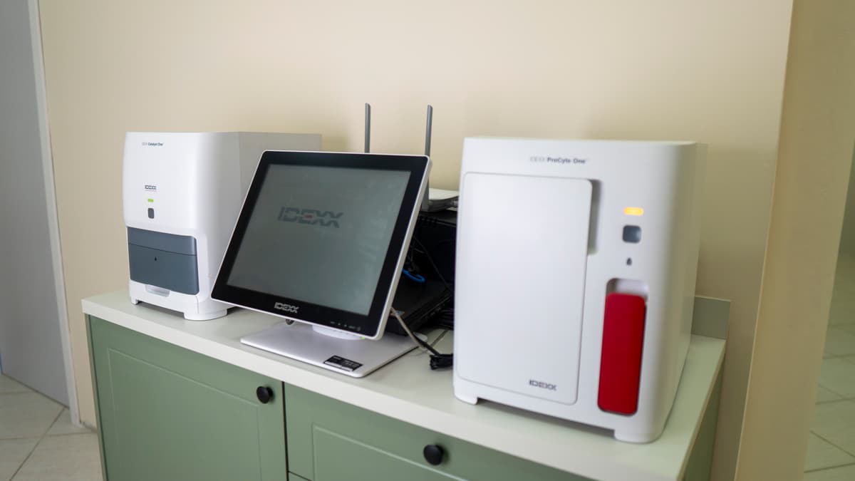 Atendimento veterinário de urgência Sensipet